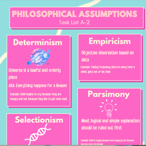 Philosophical Assumptions